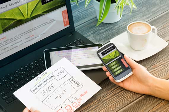 Web design and development